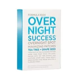 Formula 10.0.6 Overnight Success Spot Minimizing Patches