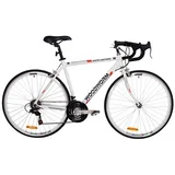 Woodworm White Lightning Road Racing