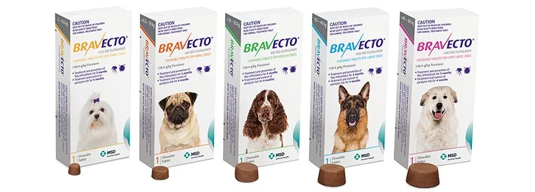 bravecto all in one