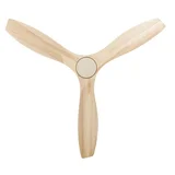 Fanco EarthFirst Wynd DC