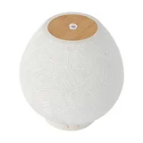 Kmart Anko Botanical Aroma Diffuser