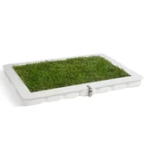 Potty Plant Starter Kit & 1 Grass