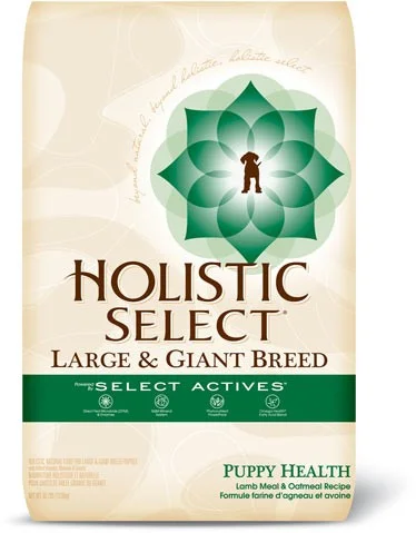 Holistic select clearance large breed puppy