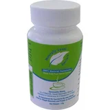 Naturally Sweet Stevia