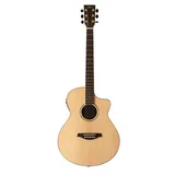 Artist Guitars JM300