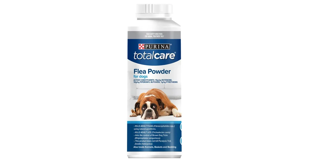 Does Baby Powder Kill Fleas On Dogs