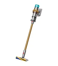 dyson v15 detect