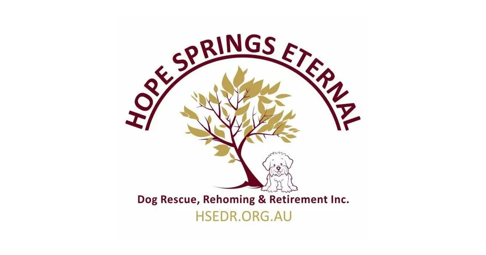 Hope Springs Eternal reviews