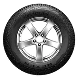 Nexen Roadian AT Pro RA8