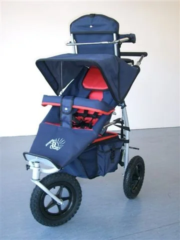 Abc 2024 triple buggy