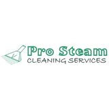 Pro Steam Cleaning Services