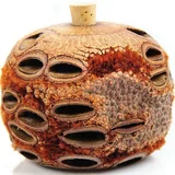 Banksia Aroma Pod