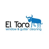 Window Cleaning Services