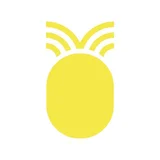 Pineapple Net DGtek 150/150 (Boost)