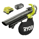 Ryobi RBV3600