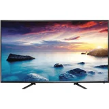 Linden (The Good Guys) L55HTV17