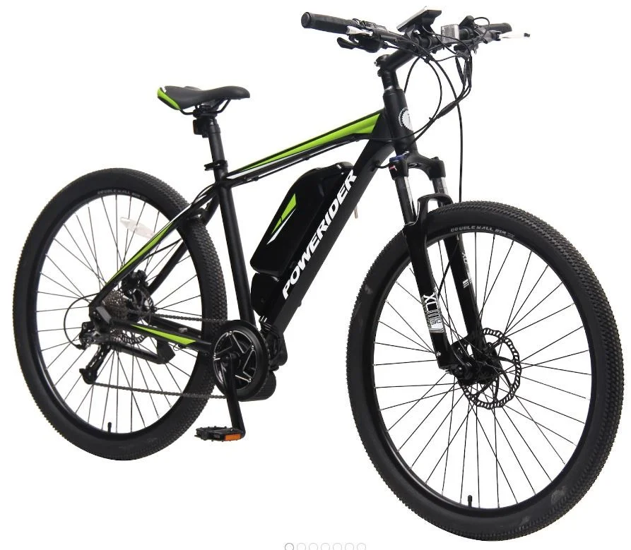 thunder wind electric bike price