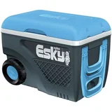 Coleman Esky Ice King