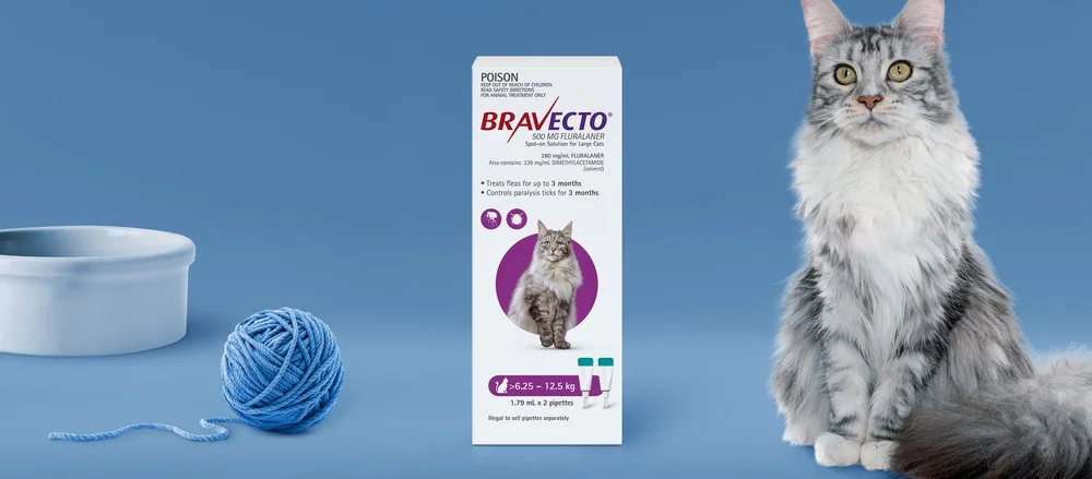 bravecto topical for cats side effects