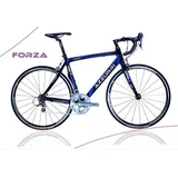 Azzurri Monocoque Forza