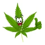 Get High Now Australia