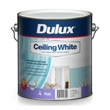Dulux Ceiling White