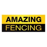 Amazing Fencing
