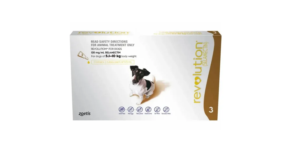 Paradyne hotsell flea treatment