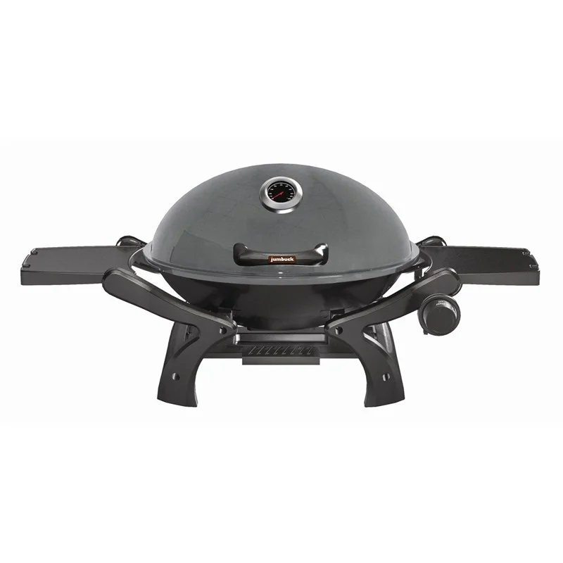 weber family q bunnings