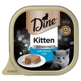 Dine Kitten with Ocean Fish