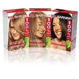 Garnier 100% Color