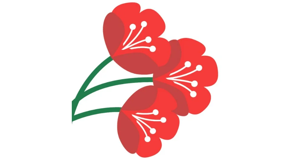 Floral Expressions reviews