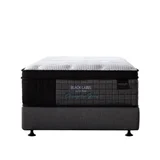 Zzz Atelier Chiropractic Black Label