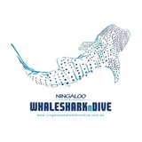 Ningaloo Whaleshark n Dive