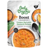 Only Organic Wholesome Soups