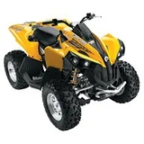 Can-Am Renegade 800