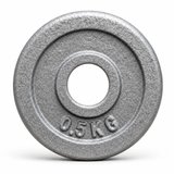 RooFitness 0.5kg Cast Iron Weight Plate