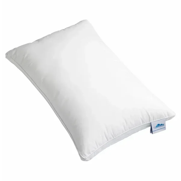 MicroCloud Pillows reviews ProductReview