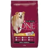 Purina One Chicken and Rice Formula