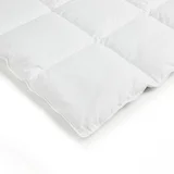 Logan & Mason Down and Feather Quilt