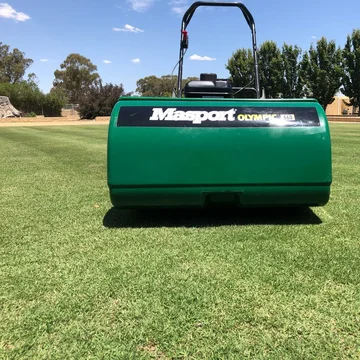 Masport reel mower review sale