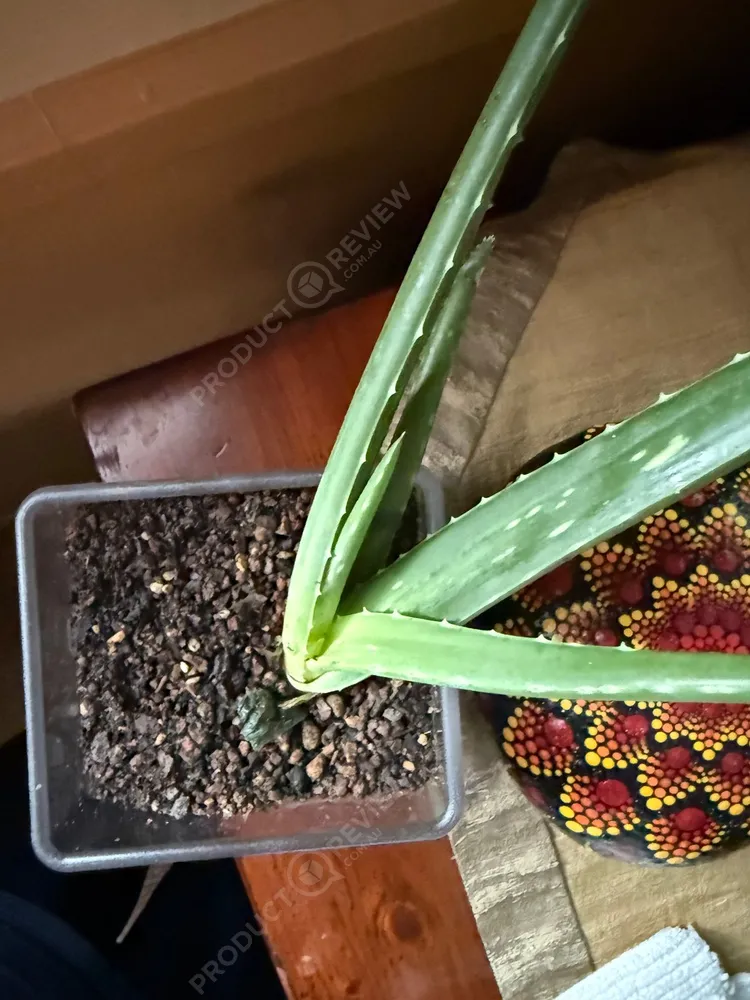 Plants In a Box reviews | ProductReview.com.au