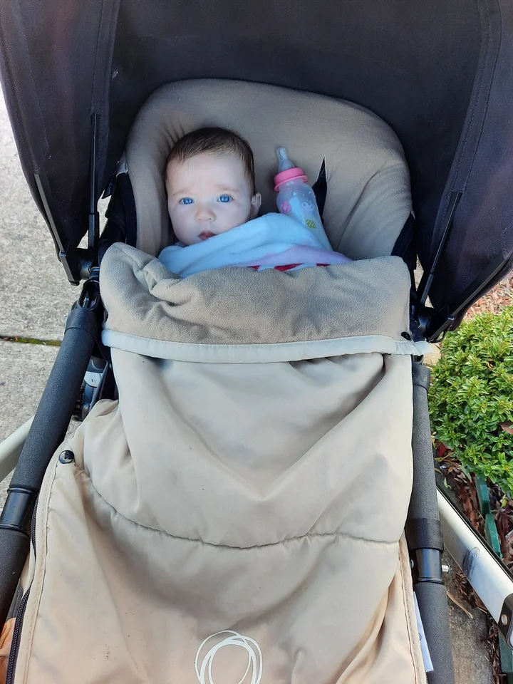 Bugaboo Cameleon 1st Gen reviews