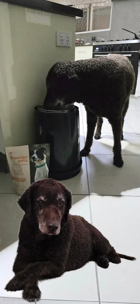 Frontier Pets Freeze-Dried Raw Dog Food reviews