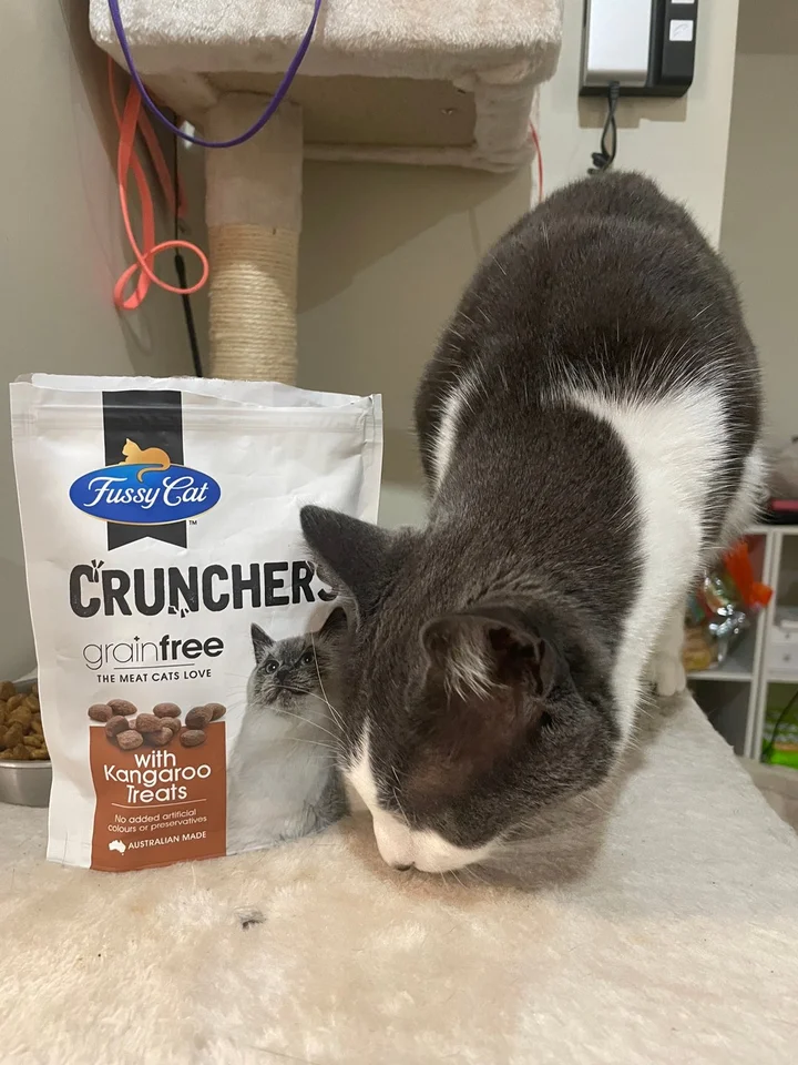 Fussy Cat Treats Crunchers with Kangaroo reviews ProductReview