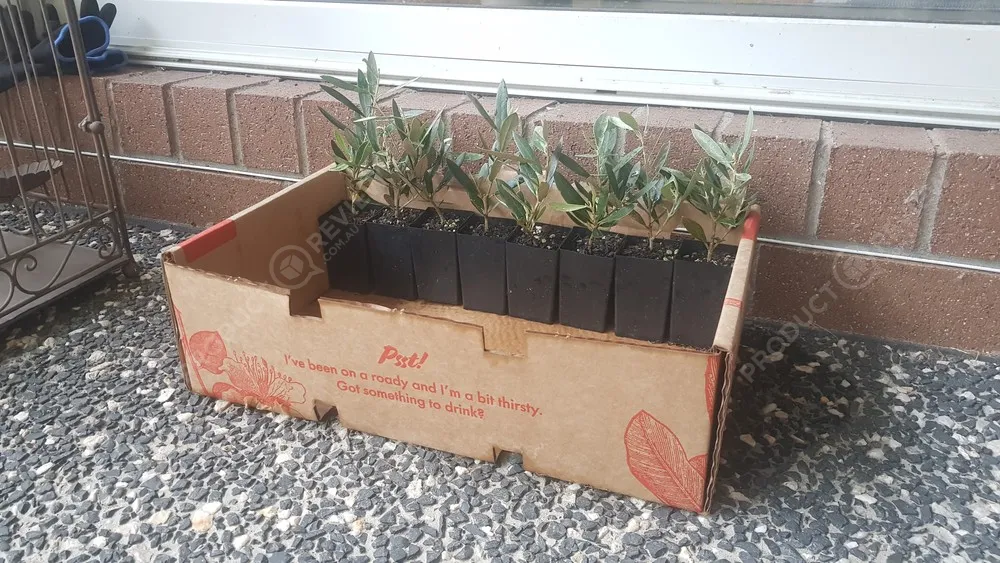 Plants In a Box reviews | ProductReview.com.au