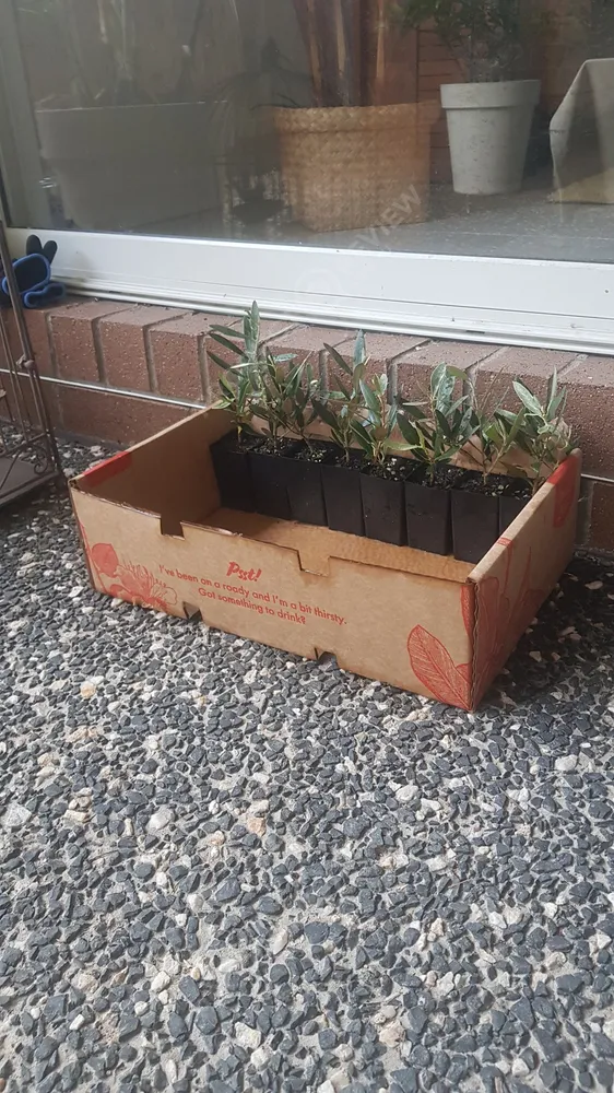 Plants In a Box reviews | ProductReview.com.au