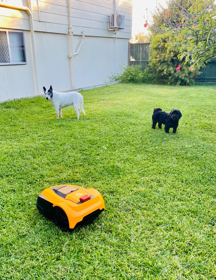 Lawn Mowbot Cost Mowbot Lawn Mower 2025