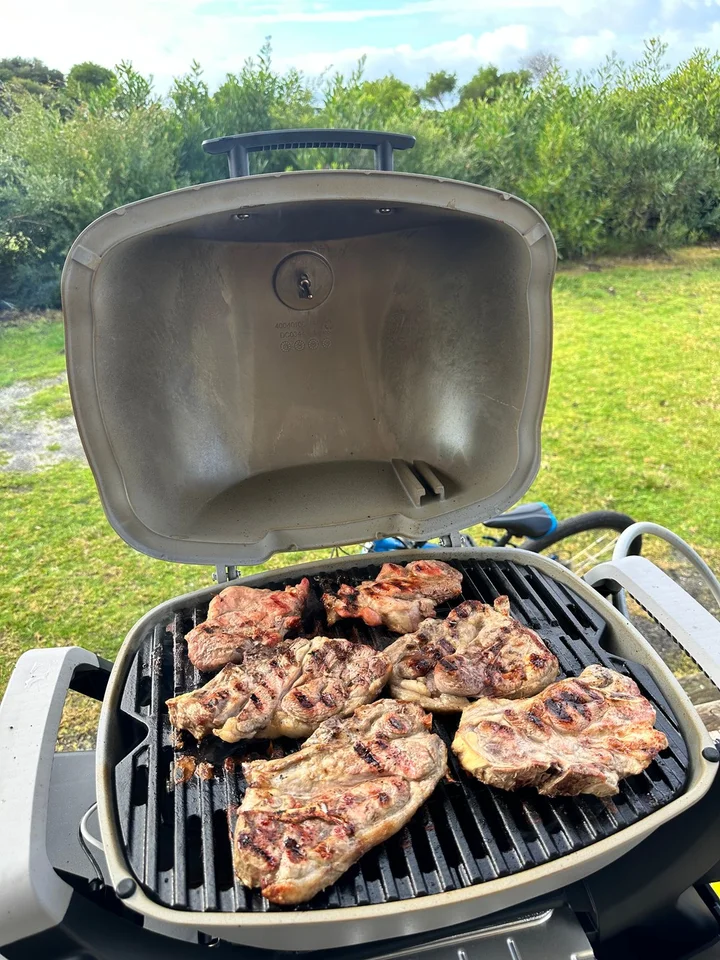 Weber Bbq Grill Weber Q1200 Review Weber Baby Q Premium (Q1200