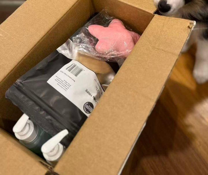 77Paws reviews | ProductReview.com.au